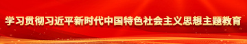 男性的jj到女性的阴道视频学习贯彻习近平新时代中国特色社会主义思想主题教育